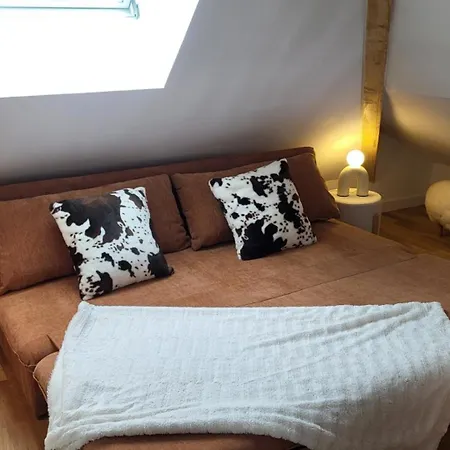 Superbe - Face Au Apartment