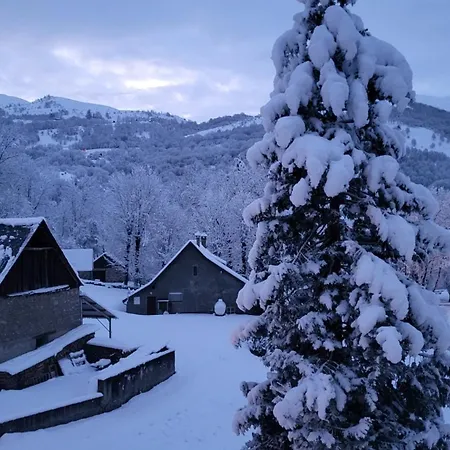 Superbe - Face Au Génos